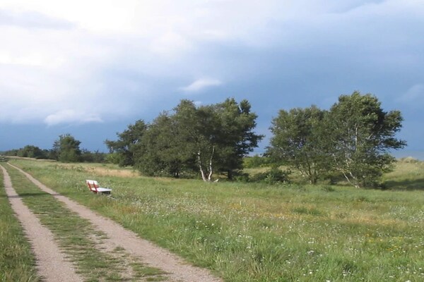Ruim vakantiehuis met wellness en spelplezier op 1,2 km van strand Marielyst - thumbnail 5
