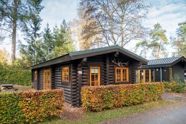 Gezellig chalet voor 5 personen in de bossen van Otterlo - thumbnail 1