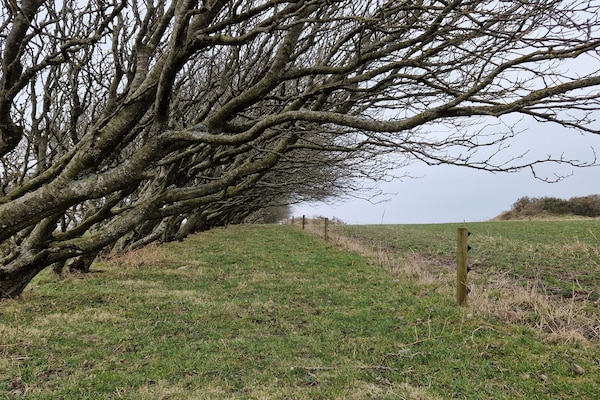 Vrijstaand vakantiehuis op natuurperceel, 700m van strand bij Spøttrup - thumbnail 3