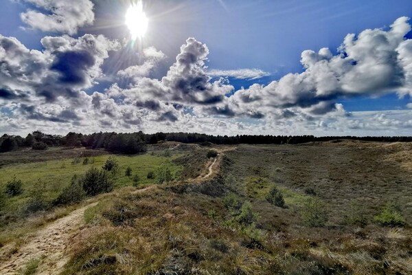 Vrijstaand rietgedekt vakantiehuis met sauna op groot natuurperceel, Rømø - thumbnail 3