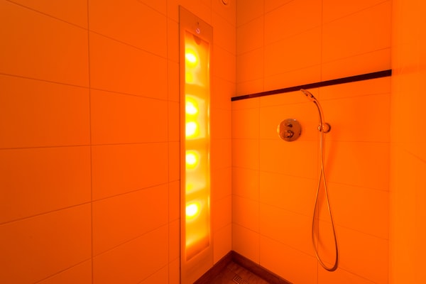 Luxe groepsvilla met sauna en sunshower op Hof van Salland - thumbnail 2