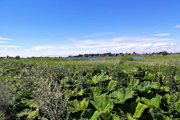 Knus vrijstaand vakantiehuis op Enø, 350m van zee - thumbnail 5