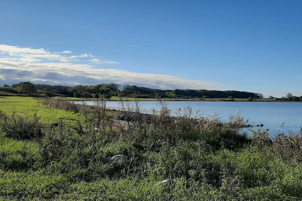 Exclusief vakantiehuis direct aan zee met panoramisch uitzicht over de baai van Ebeltoft - thumbnail 4