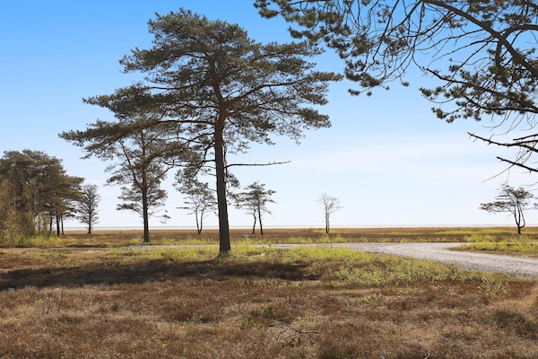 Modern vakantiehuis op Læsø met panoramisch uitzicht op beschermd natuurgebied - thumbnail 6