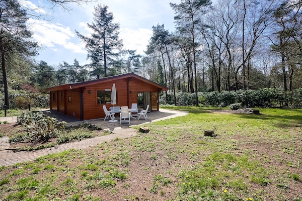 Finse bungalow in bosrijk Holten – rust, natuur en huisdieren welkom - thumbnail 6