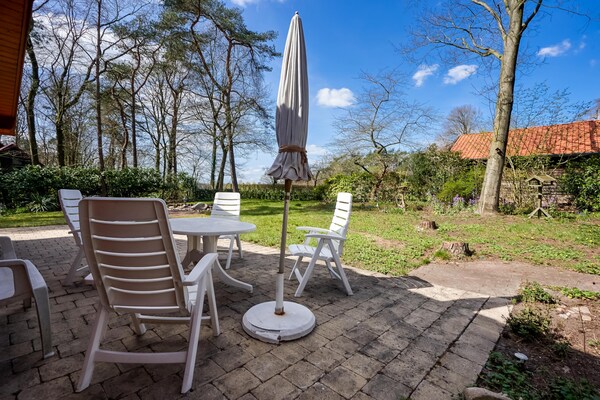 Finse bungalow in bosrijk Holten – rust, natuur en huisdieren welkom - thumbnail 5