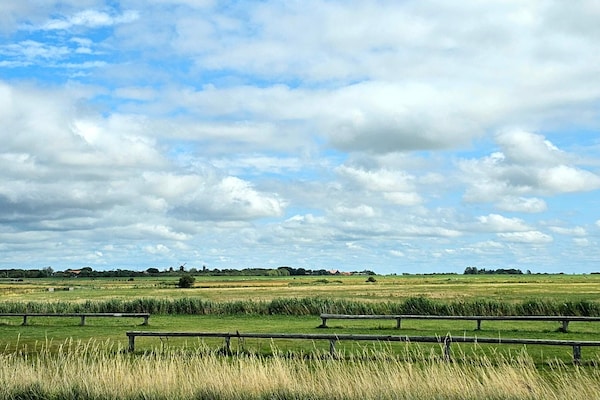 Sfeervol rietgedekt vakantiehuisje nabij het Waddengebied in Tønder - thumbnail 3