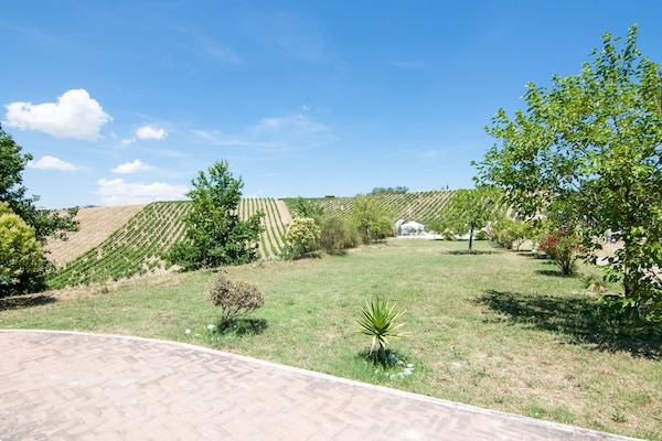 Rustiek appartement bij Ascoli Piceno met tuin, op 7 km van de Adriatische kust - thumbnail 5