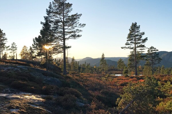 Panoramisch vakantiehuis voor 15 personen met sauna, direct aan de skipiste bij Treungen - thumbnail 4