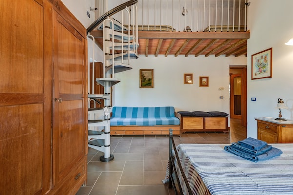 Ruim galerij-appartement voor 11 in Toscaans bos met zwembad - thumbnail 3