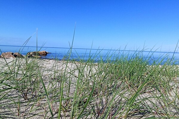Knus vakantiehuisje op 50 meter van het strand in Enebærodde, Denemarken - thumbnail 3