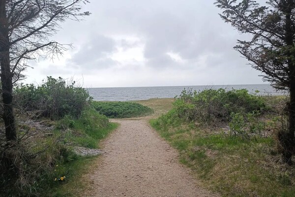 Traditioneel vakantiehuis bij Skaven Strand, 500m van de Ringkøbing Fjord - thumbnail 3