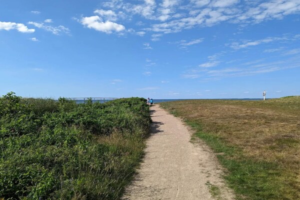 Traditioneel vakantiehuis bij Skaven Strand, 500m van de Ringkøbing Fjord - thumbnail 4
