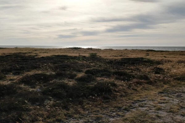 Traditioneel vakantiehuis bij Skaven Strand, 500m van de Ringkøbing Fjord - thumbnail 5
