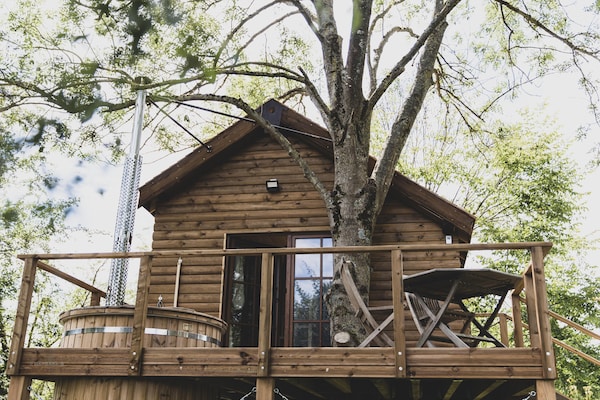 Bird Nest: Romantisch wellness chalet in het bos bij Durbuy - thumbnail 5