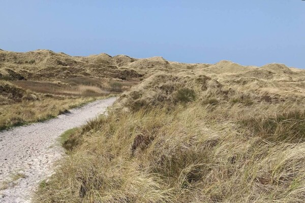 Op 500 m van zee: Rietgedekt vakantiehuis in Henne voor 8 personen - thumbnail 4