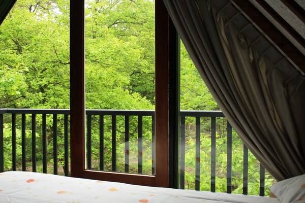 Vrijstaande bosbungalow op Vakantiepark Herperduin voor 6 personen - thumbnail 5