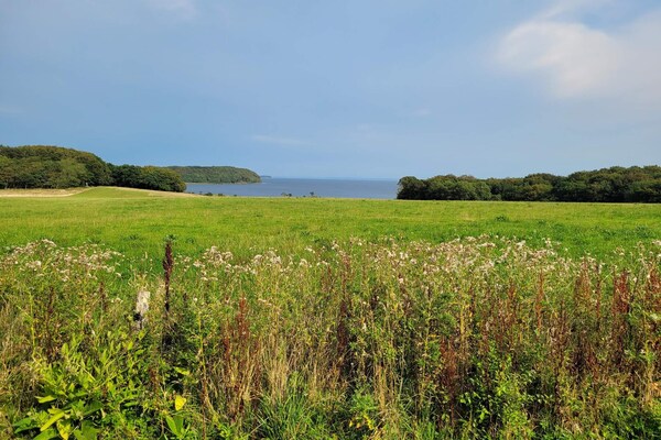 Vrijstaand vakantiehuis bij Roslev met fjorduitzicht, 300m van zee - thumbnail 2