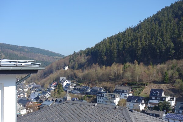 Centraal appartement in Willingen met uitzicht op het Ittertal, vlakbij de piste - thumbnail 6