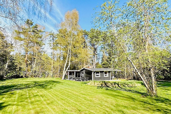 Knus vakantiehuis bij Asserbo met houtkachel, 3 km van zee - thumbnail 4