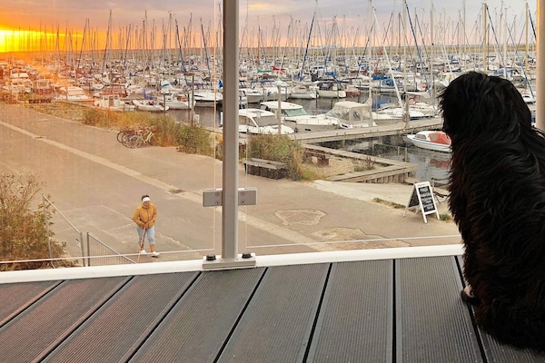 4-persoons appartement aan zee in Wendtorf met panoramisch uitzicht - thumbnail 6