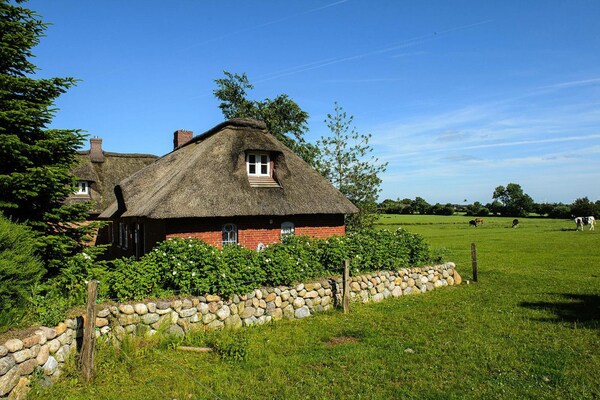 Fries rietgedekt huis nabij Husum met zonneterras - thumbnail 2
