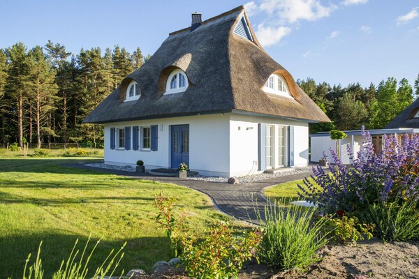 Rietgedekt vakantiehuis aan de lagune met sauna, 100 meter van het water - thumbnail 1