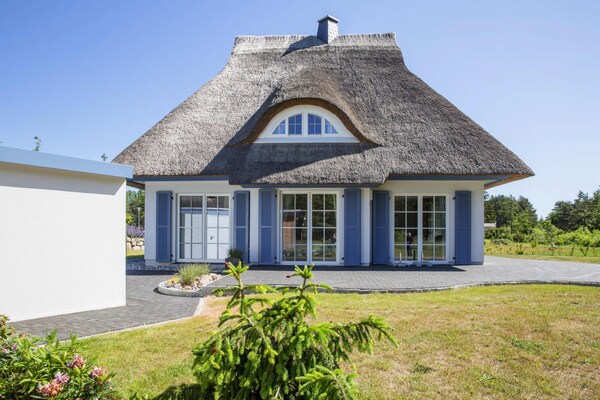 Rietgedekt vakantiehuis aan de lagune met sauna, 100 meter van het water - thumbnail 2