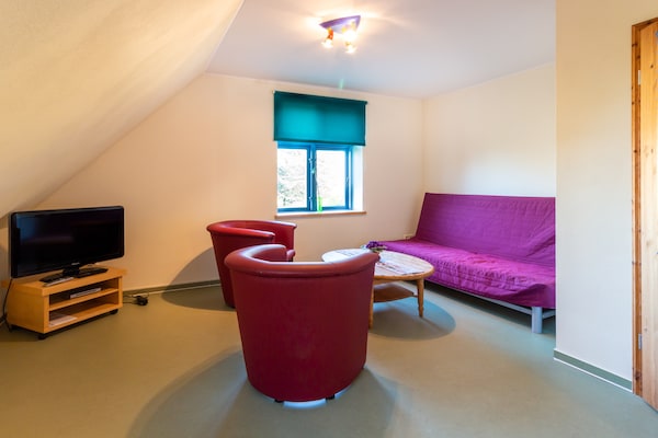 Rietgedekt vakantiehuis met sauna en open haard in Vieregge, Rügen - thumbnail 6