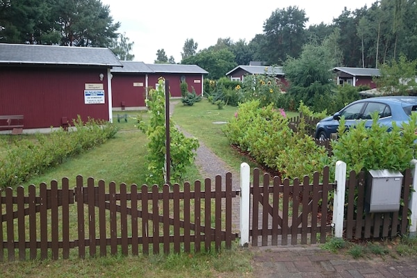4-persoons bungalow in Koserow op 1,0 km van de zee - thumbnail 5