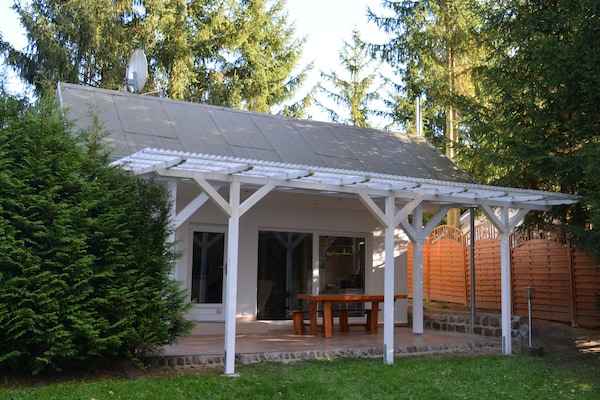Sfeervol vakantiehuis in het idyllische Wockertal bij Parchim - thumbnail 2