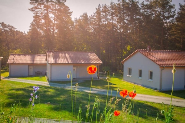 Vrijstaande bungalow aan het Storkower See met eigen tuin - thumbnail 3