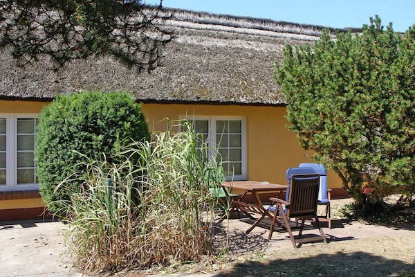 Op 650 m van het meer: Sfeervol appartement in Wieck am Darß - thumbnail 4