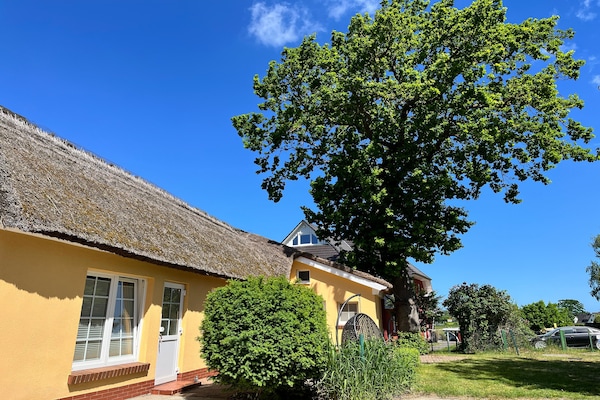 Op 650 m van het meer: Sfeervol appartement in Wieck am Darß - thumbnail 1
