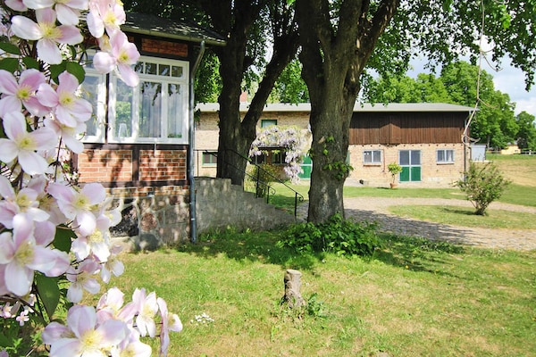 Vrijstaand vakantiehuis in Sternberger Seenland met 3 meren op loopafstand - thumbnail 4