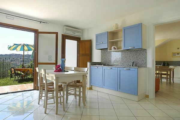 Licht appartement in olijfgaarden van Imperia - thumbnail 5