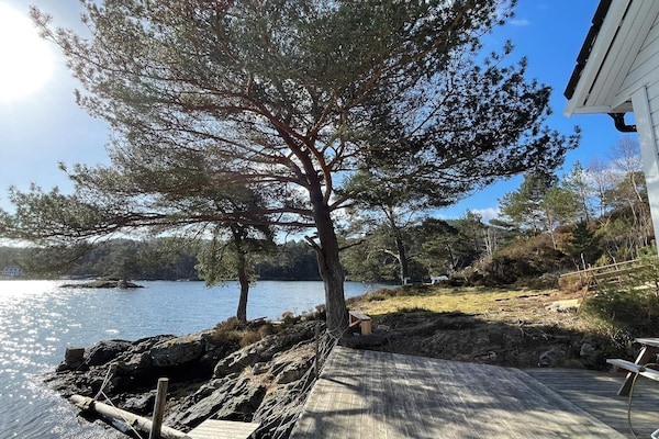 Authentieke rorbu aan zee in Rubbestadneset met bootverhuur - thumbnail 4