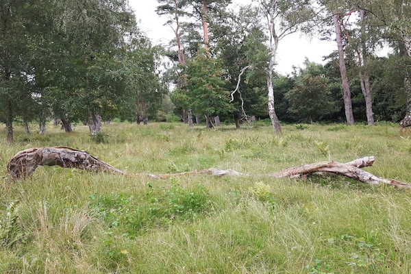 Luxe vakantiehuis voor 14 personen met privézwembad en sauna op 700 meter van zee - thumbnail 6