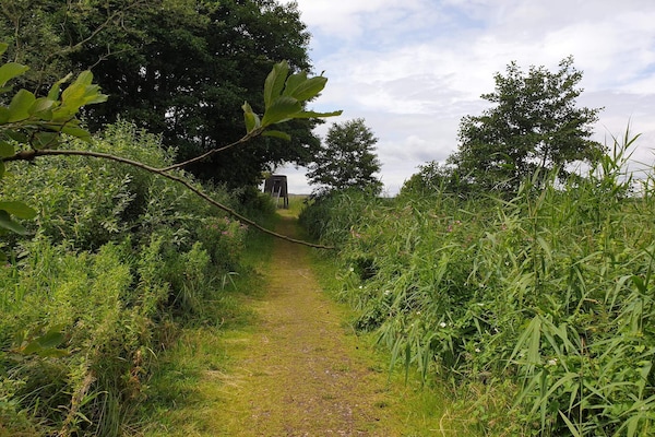 Vrijstaand natuurhuis met grote tuin en aparte slaapaanbouw nabij Ebeltoft - thumbnail 4