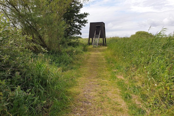 Vrijstaand natuurhuis met grote tuin en aparte slaapaanbouw nabij Ebeltoft - thumbnail 6