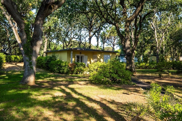 Wellness bungalow aan zee in San Vincenzo voor 4 personen - thumbnail 2
