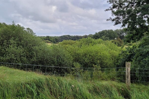 Gezellige blokhut voor 6 personen in natuurrijke omgeving in Hovborg - thumbnail 6