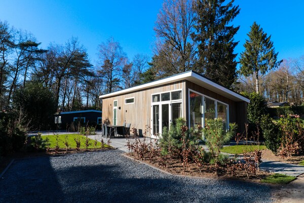 Vrijstaand chalet in Hoenderloo met privétuin, zwembad & honden welkom - thumbnail 1