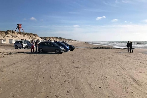 Licht vakantiehuis op het zuiden bij Blokhus, 2,5 km van zee - thumbnail 4