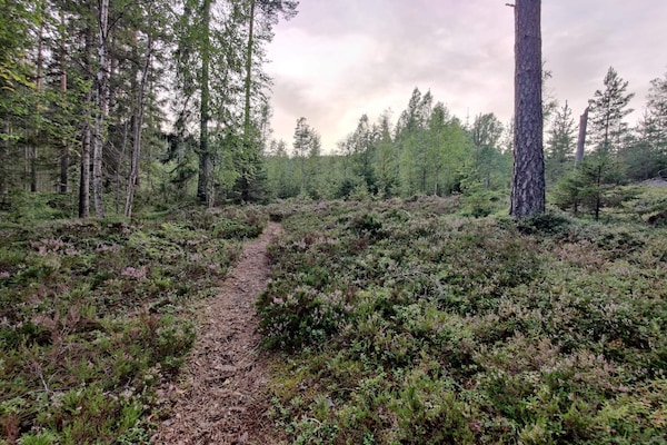 Modern vakantiehuis in Bergslagen met panoramisch uitzicht en golfbaan - thumbnail 5