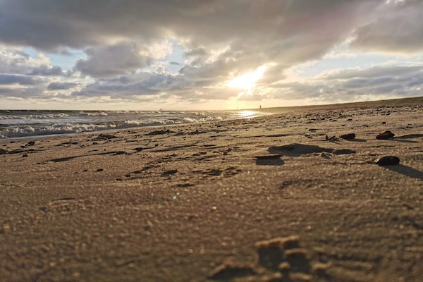 Groots vakantiehuis voor 18 personen met zwembad, sauna en whirlpool bij Blåvand - thumbnail 5