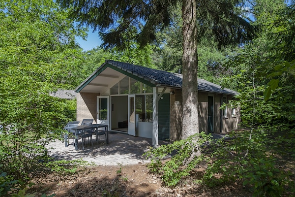 Vrijstaande bungalow op de Veluwe met privétuin en huisdieren welkom - thumbnail 6