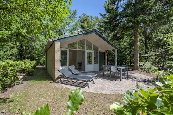 Vrijstaande bungalow op de Veluwe met privétuin en huisdieren welkom - thumbnail 1