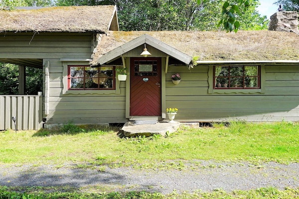 Rustiek vakantiehuis met grasdak in Tingsryd voor 5 personen - thumbnail 1