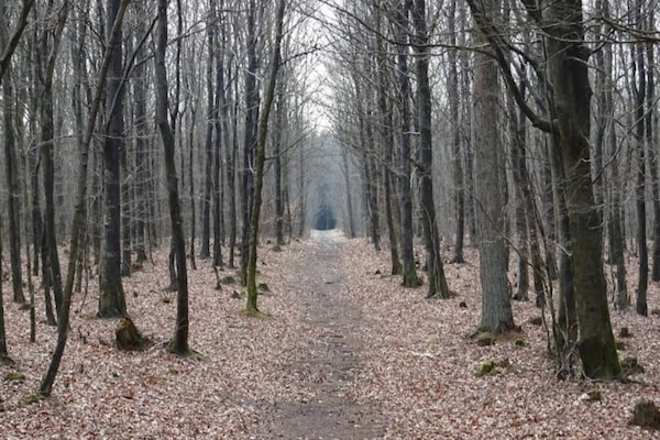 25852 - thumbnail 3